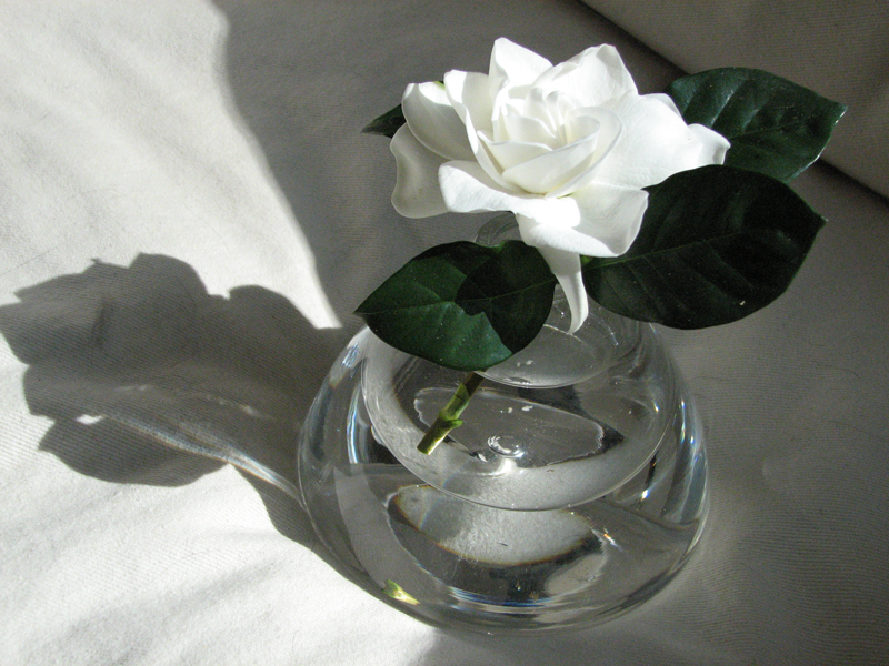 800x600 Arthouse Studio School Watercolor Still Life Demonstration - Watercolor Glass Vase