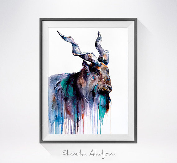 570x525 Goat 3 Watercolor Painting Print - Watercolor Goat