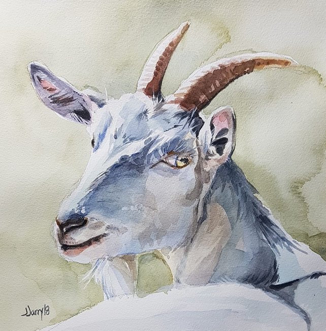 Watercolor Goat At Paintingvalley.com 