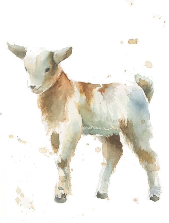 570x755 Image Result For Goat Watercolor Goat And Monkey - Watercolor Goat