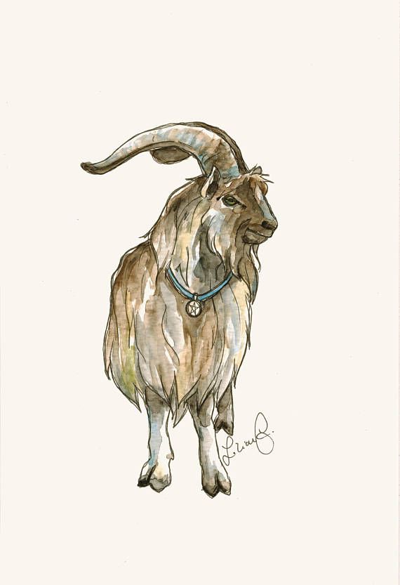 570x833 Phil The Goat (Original Watercolor) Watercolor And Originals - Watercolor Goat