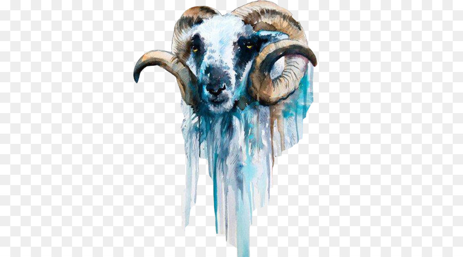 900x500 Sheep Goat Watercolor Painting Art - Watercolor Goat
