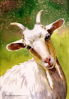 236x338 This Listing Is For A Print Of A Original Watercolor Painting - Watercolor Goat