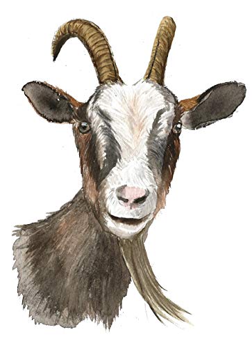 363x500 Goat Art - Watercolor Goat