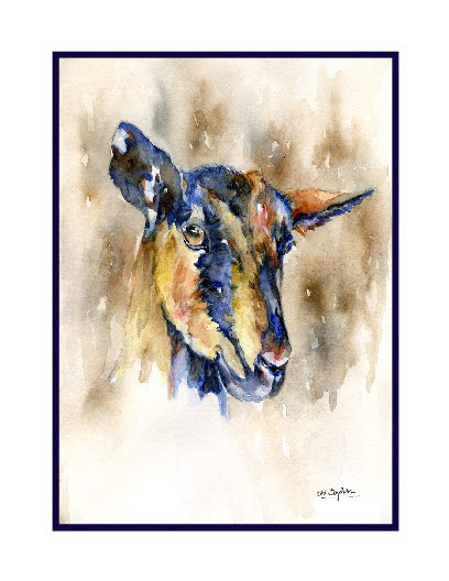 408x528 Watercolor Goat Note Cards - Watercolor Goat