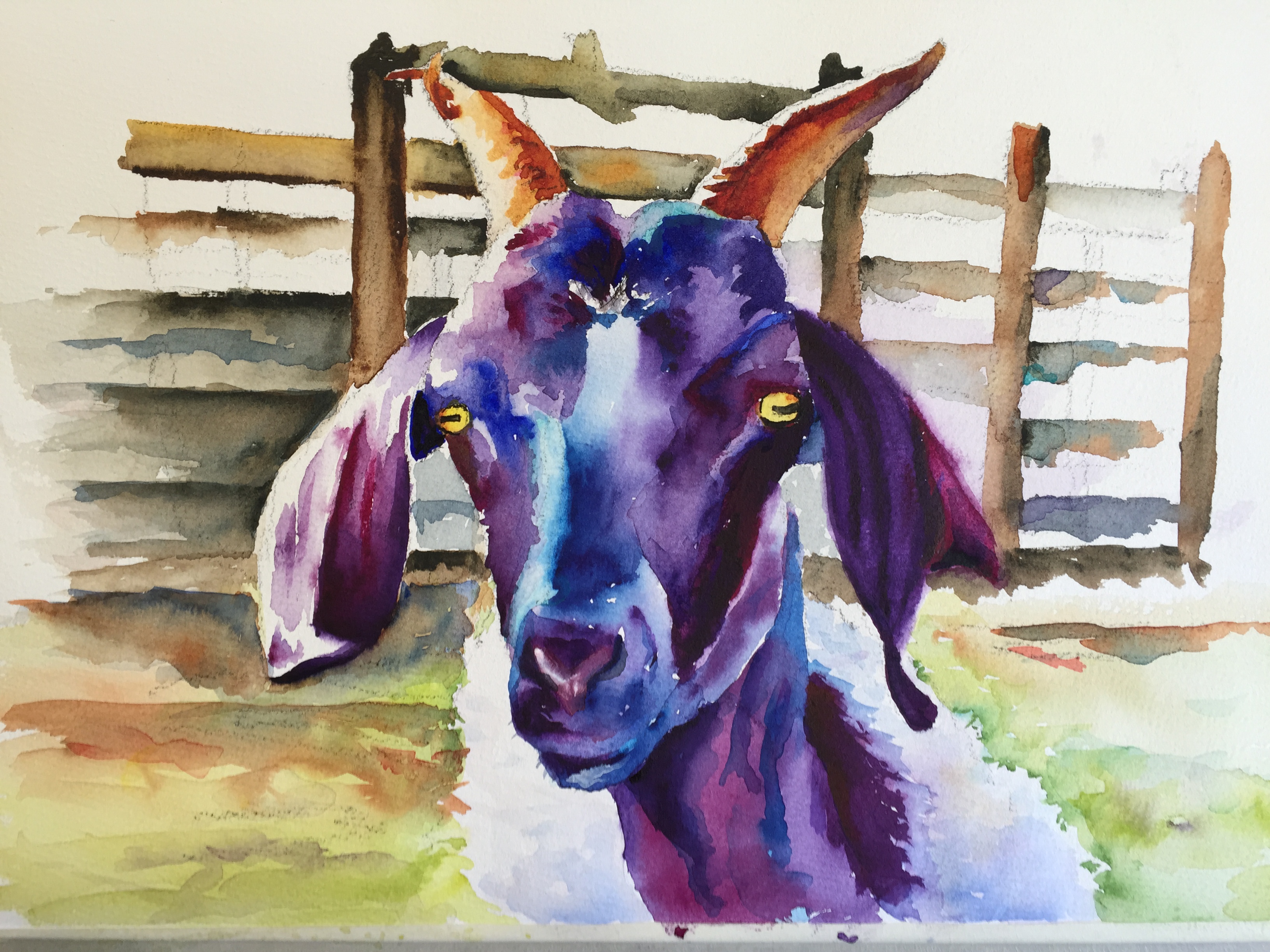 3264x2448 Goat Annette Bennett Watercolor Art - Watercolor Goat