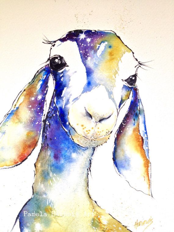 570x760 Goat Art Print, Watercolor, Art Print, Farm Animal, Sheep, Wall - Watercolor Goat
