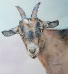 231x250 Ginger Goat Watercolor And Prints By Teresa Silvestri My - Watercolor Goat