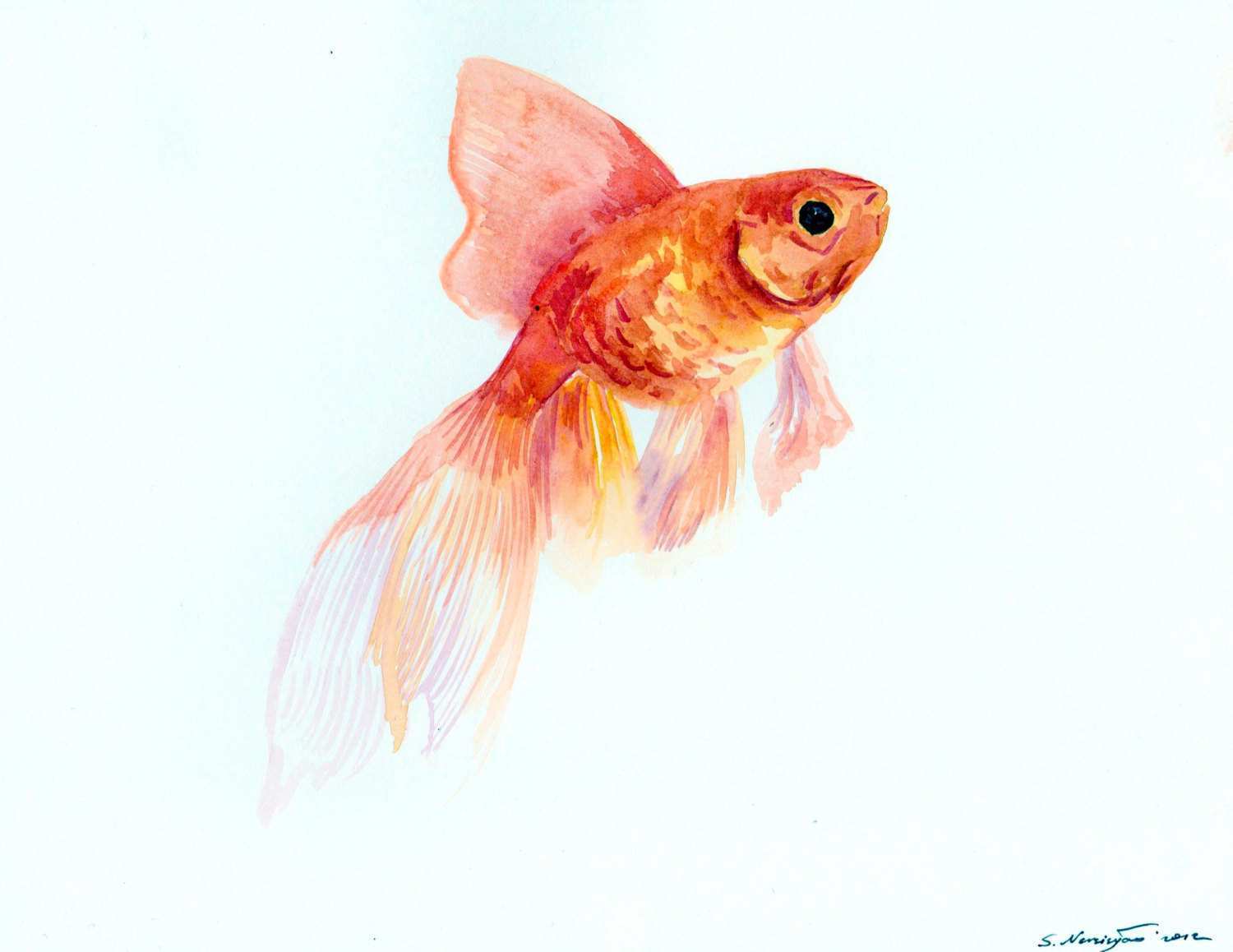 1500x1158 Goldfish Painting Luxury Goldfish Watercolor Paintings Painting - Watercolor Goldfish