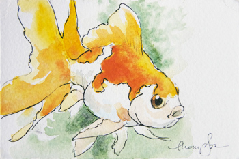 350x233 Tracie Thompson, Artist Winter Pond And A Watercolor Goldfish - Watercolor Goldfish