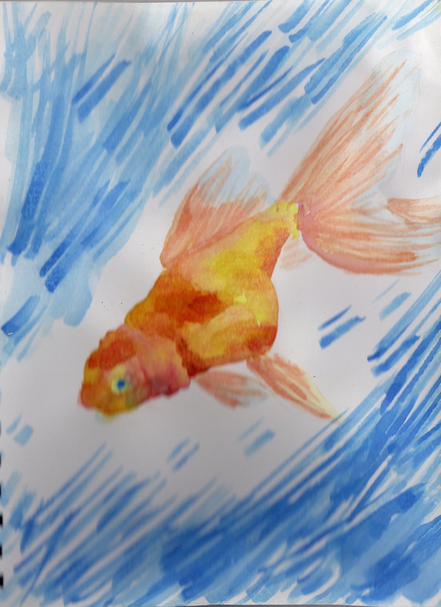 1438x1976 Watercolor Goldfish Oc - Watercolor Goldfish