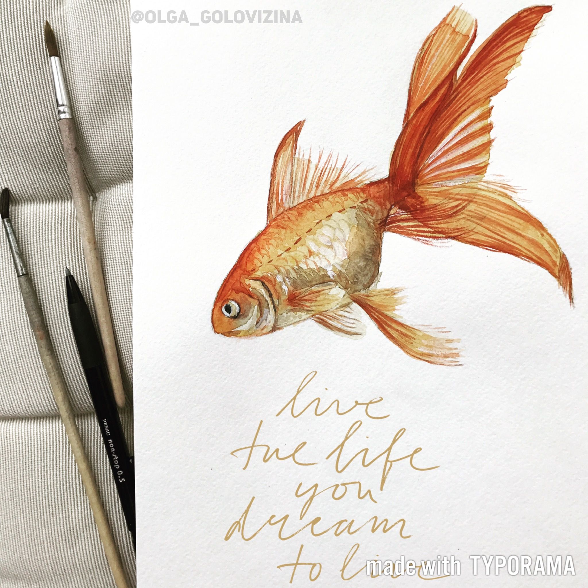 2048x2048 Watercolor Goldfish - Watercolor Goldfish