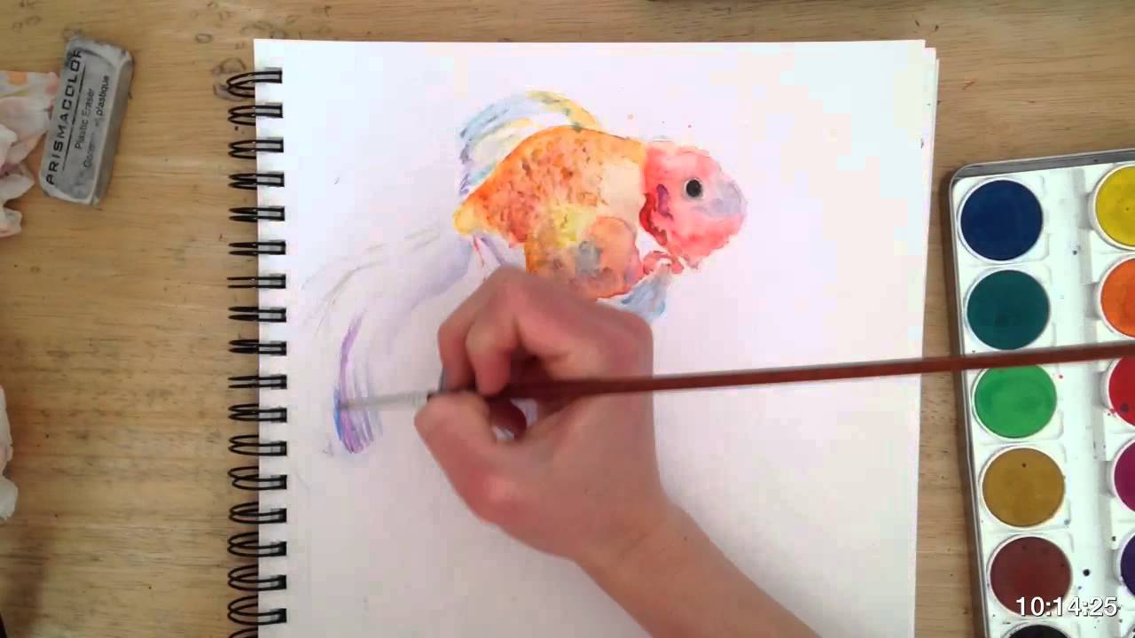1280x720 Watercolor Goldfish Time Lapse Painting - Watercolor Goldfish