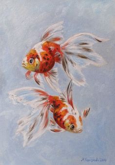 236x337 Watercolor Goldfish Medium Watercolor Watercolors 2 - Watercolor Goldfish