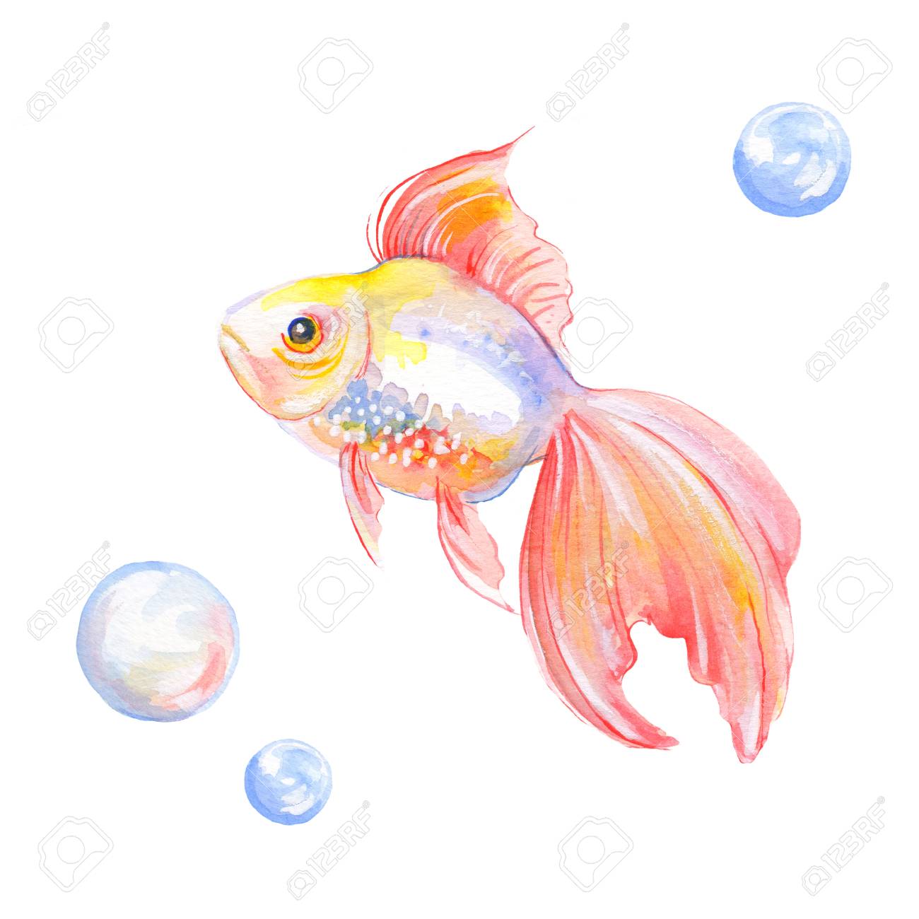 1300x1300 Drawn Goldfish Detailed - Watercolor Goldfish