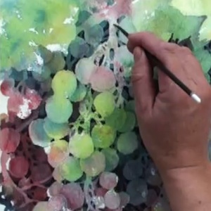 300x300 How To Paint Techniques In Watercolor - Watercolor Grapes