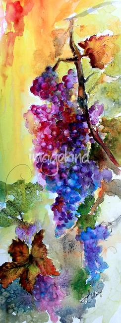 244x650 Burgundy Grapes Red Wine Watercolor Painting By Ginette Callaway - Watercolor Grapes