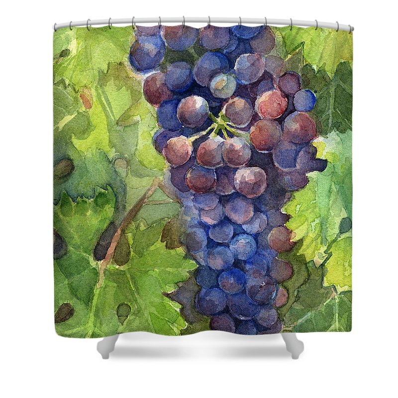 800x800 Watercolor Grapes Painting Shower Curtain For Sale By Olga Shvartsur - Watercolor Grapes