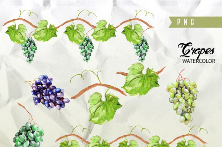 720x479 Watercolor Grapes Amp Leaves By Foxstylestudio - Watercolor Grapes