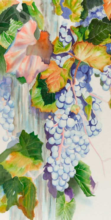 375x740 Watercolor Painting Demonstration Of Grapes On The Vine By Artist - Watercolor Grapes