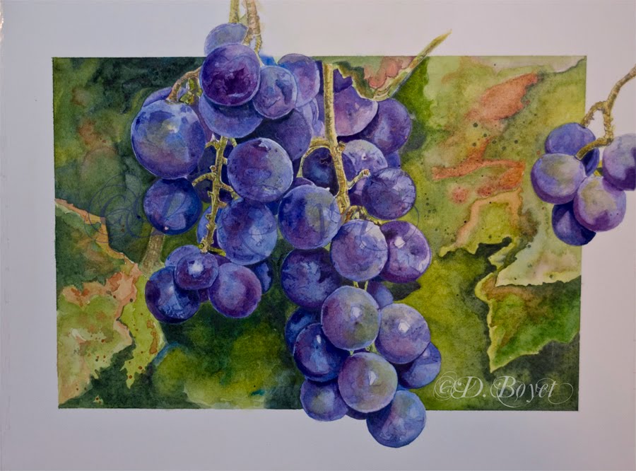 900x666 Wildside Art...for Really Wild Art Grape Watercolor Painting - Watercolor Grapes