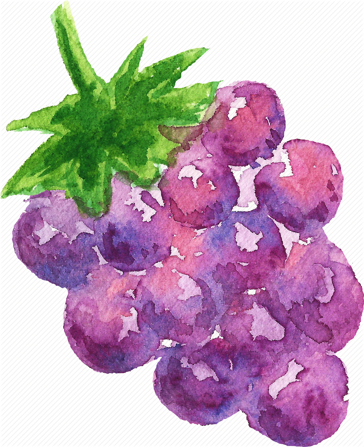 1430x1756 Cuisine, Food, Fruit, Fruits, Grape, Watercolor, Watercolors Icon - Watercolor Grapes