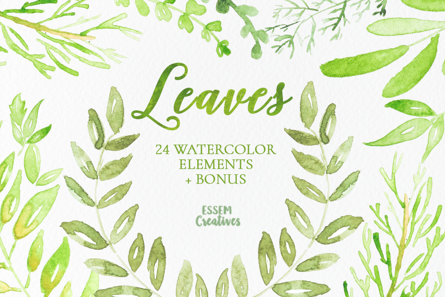 900x600 Watercolor Leaves And Branches Clipart Essem Creatives - Watercolor Graphics