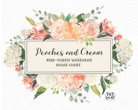 570x456 Flower Watercolor Clipart Hand Painted Graphics Peaches And Etsy - Watercolor Graphics
