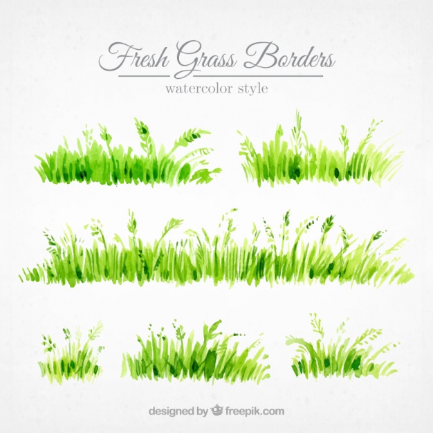 626x626 Set Of Grass Borders Painted With Watercolor Vector Free Download - Watercolor Grass