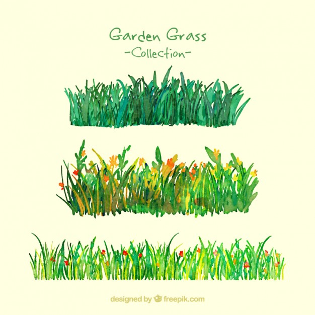 626x626 Watercolor Garden Grass Pack Vector Free Download - Watercolor Grass