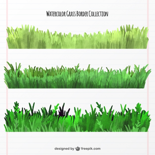 626x626 Collection Of Three Watercolor Grass Borders Vector Free Download - Watercolor Grass