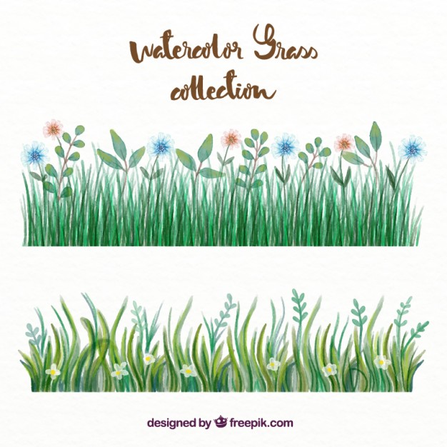 626x626 Watercolor Grass With Flowers Set Vector Free Download - Watercolor Grass