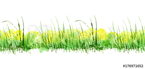 500x238 Seamless, Watercolor Linear Border, Background With Vintage - Watercolor Grass