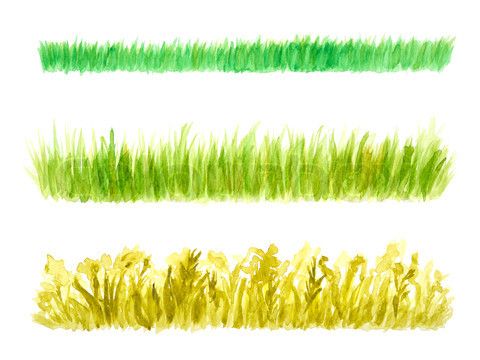 480x360 Watercolor Painting Grass Field - Watercolor Grass
