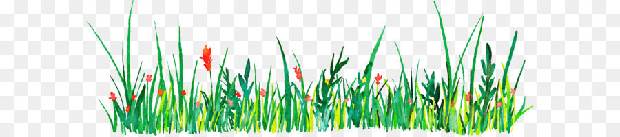 900x200 Euclidean Vector Icon - Watercolor Grass