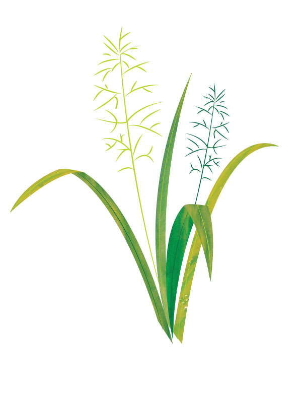 612x792 Grass With Watercolor Texture Uwec Hybrid Bus Design Project - Watercolor Grass