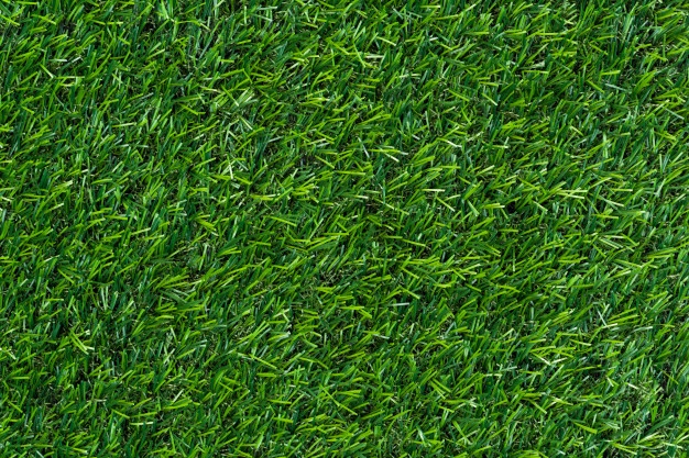 626x417 Grass Vectors, Photos And Psd Files Free Download - Watercolor Grass Texture