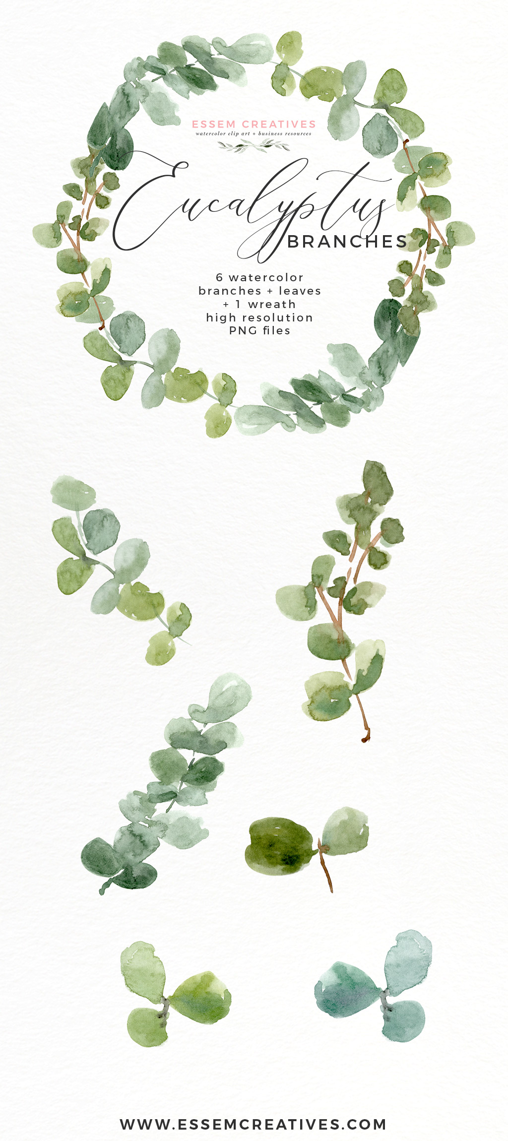1024x2300 Watercolor Eucalyptus Wreath Branches Clipart Png Essem Creatives - Watercolor Greenery