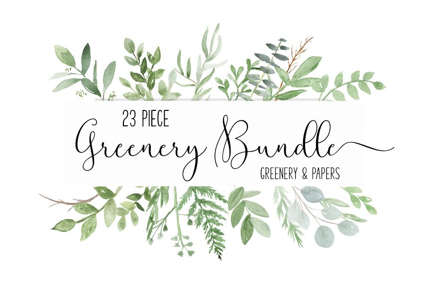 860x573 Watercolor Greenery Botanical Clip Art Png Bundle - Watercolor Greenery