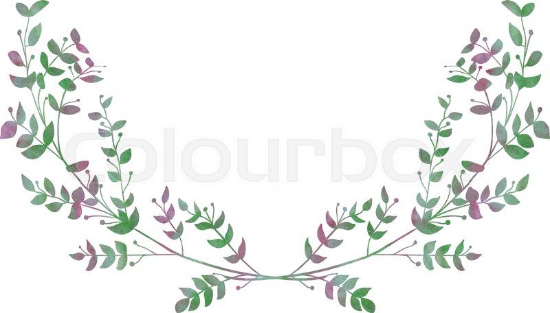 800x456 Drawn Watercolor Greenery Laurels Vector Illustration. Watercolor - Watercolor Greenery