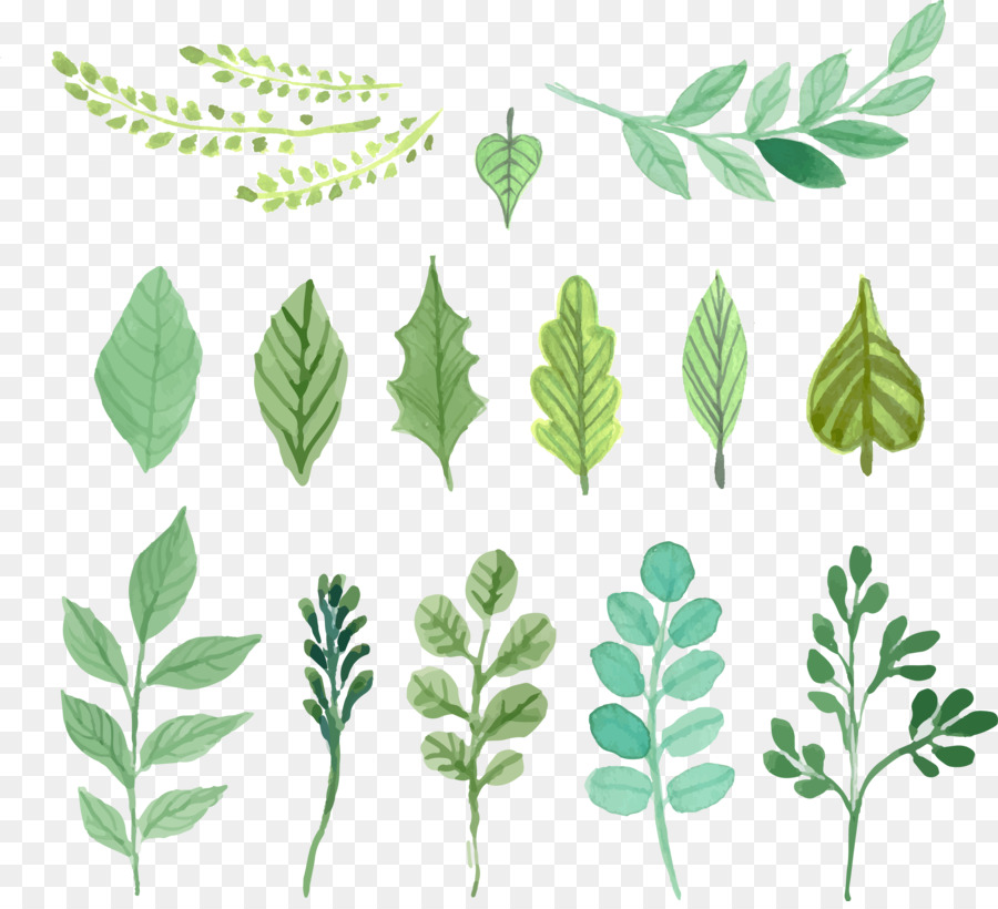 900x820 Watercolor Painting Leaf - Watercolor Greenery