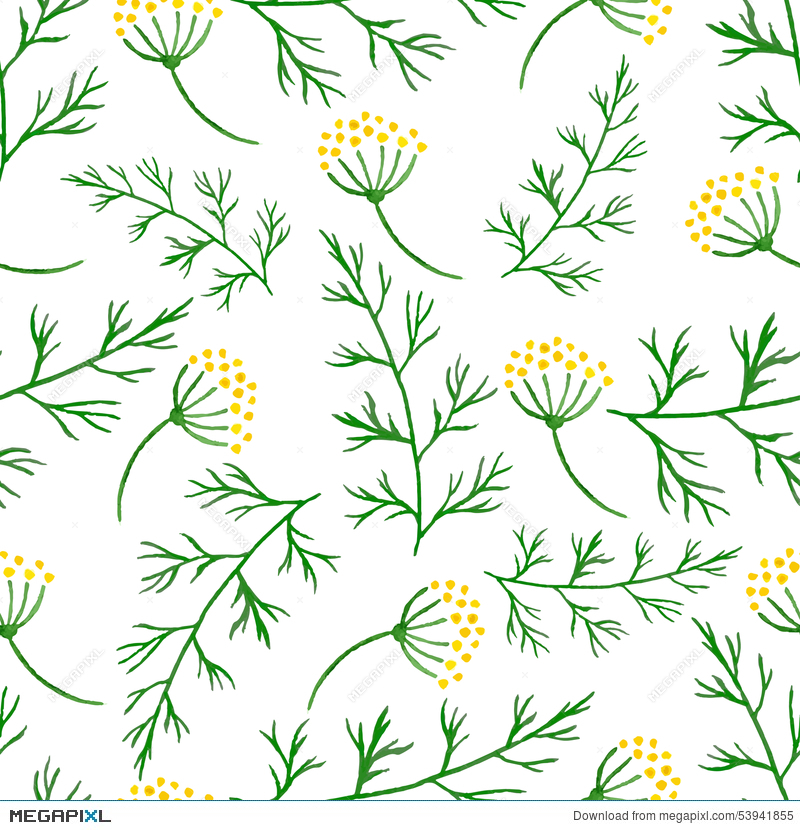800x830 Stylized Watercolor Seamless Pattern Sprigs Of Greenery, Dill Or - Watercolor Greenery Vector