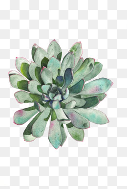 260x386 Watercolor Greenery Png, Vectors, Psd, And Clipart For Free - Watercolor Greenery Vector