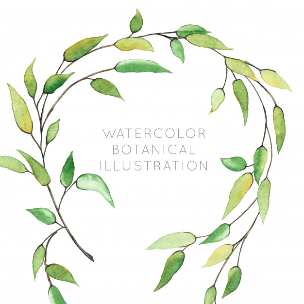 626x626 Watercolor Botanical Wreath With Greenery Vector Premium Download - Watercolor Greenery Vector