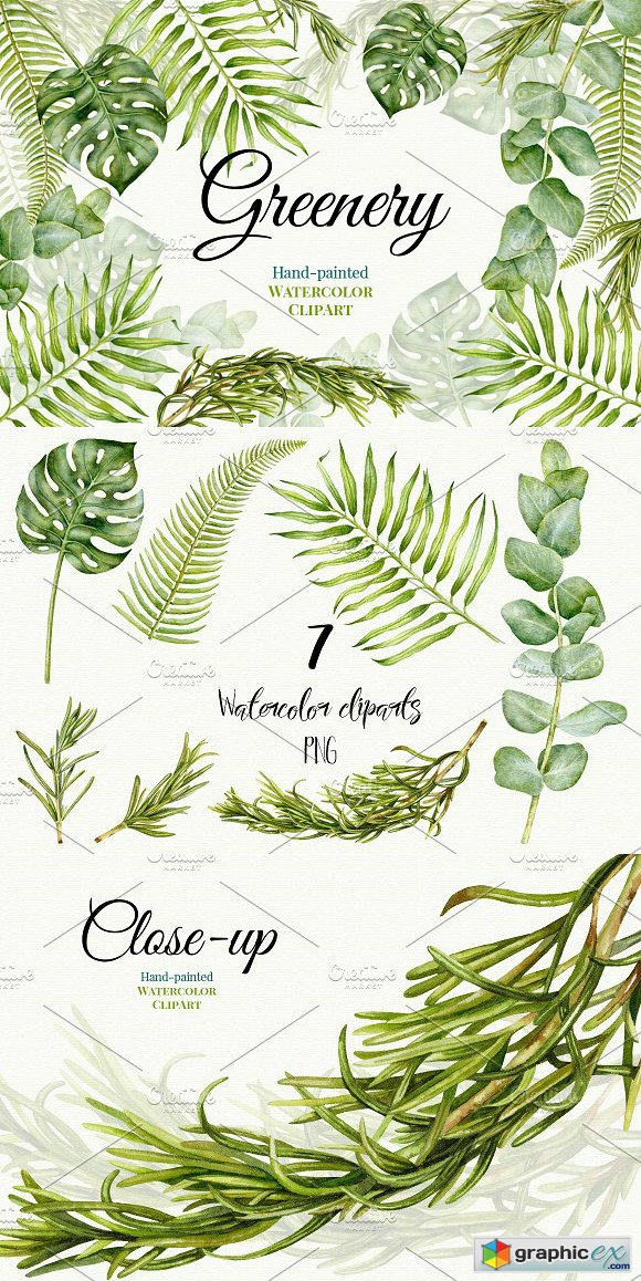580x1158 Wedding Watercolor Greenery Free Download Vector Stock Image - Watercolor Greenery Vector