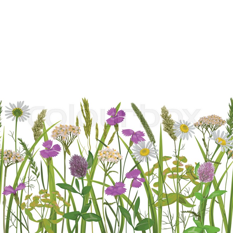 800x800 Seamless Horizon Border With Herb And Field Flowers In Watercolor - Watercolor Greenery Vector