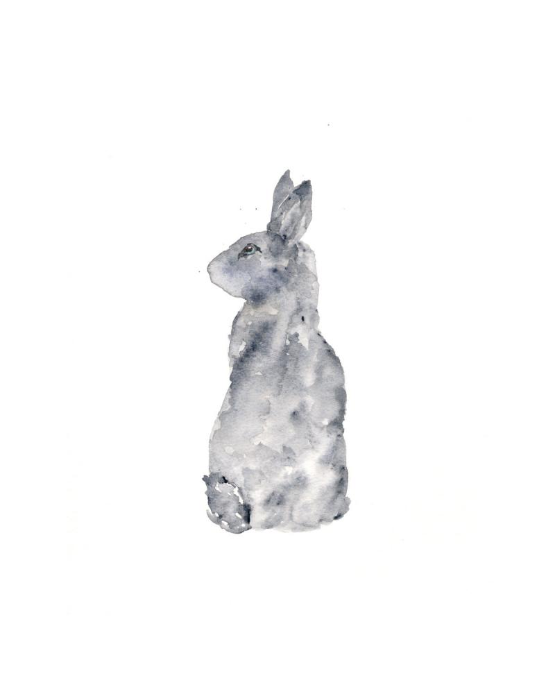 800x1000 Rabbit Art, Rabbit Painting, Watercolor By Thimblesparrow On Zibbet - Watercolor Grey