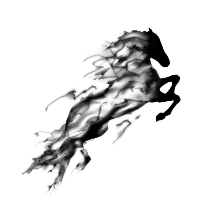 736x736 Watercolor Grey And Black Horse Tattoo Design - Watercolor Grey
