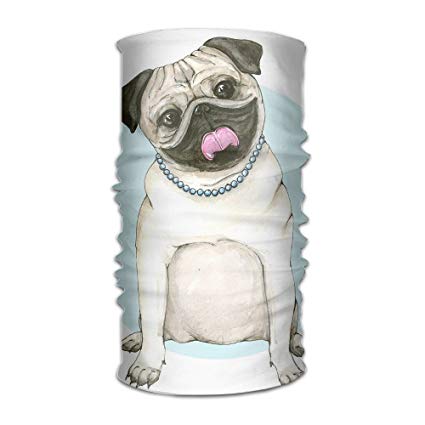 425x425 Multi Use Watercolor Pug Headband Bandana Mask Sports - Watercolor Hair Mask
