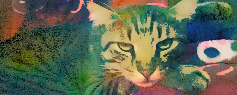 980x393 Pre Poo Diy Hair Mask Flax Seed, Aloe, Yogurt Mygreenagenda - Watercolor Hair Mask